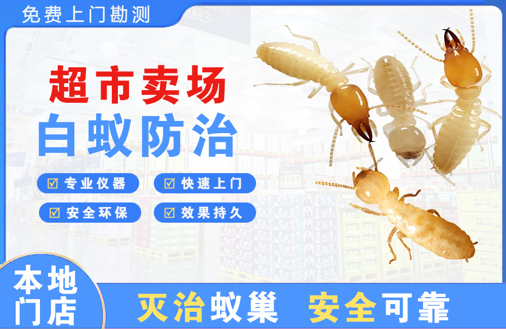 澄迈超市卖场白蚁防治