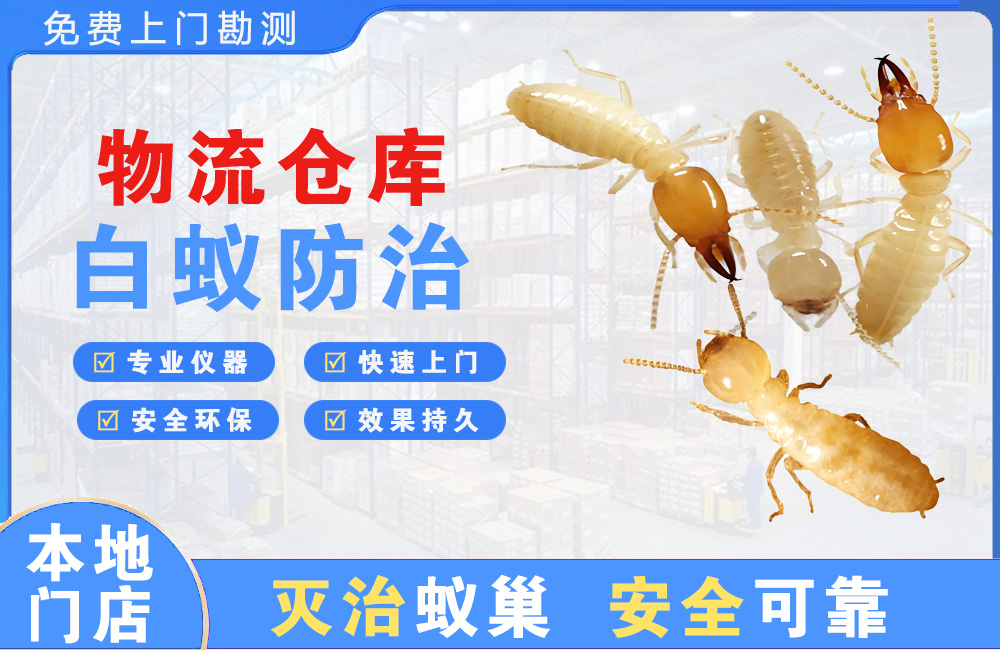 澄迈物流仓库白蚁防治
