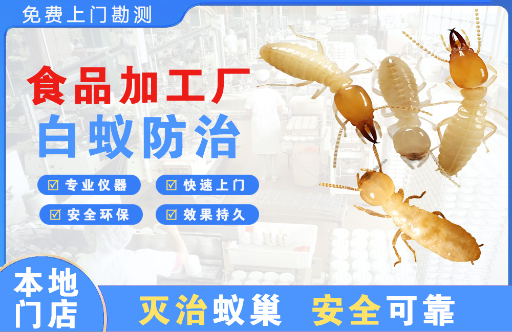 澄迈食品加工厂白蚁防治