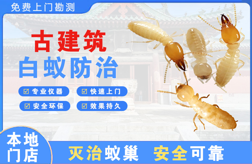 澄迈古建筑白蚁防治